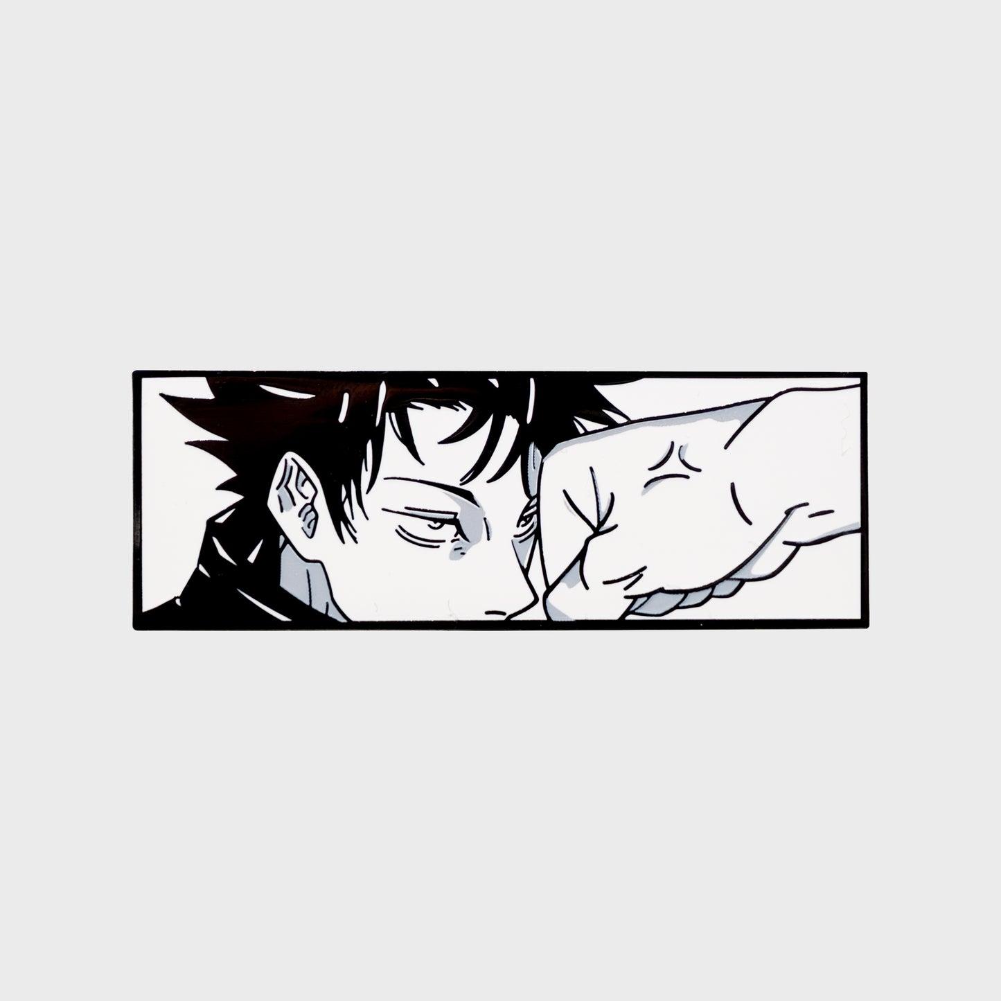 meg panel pin